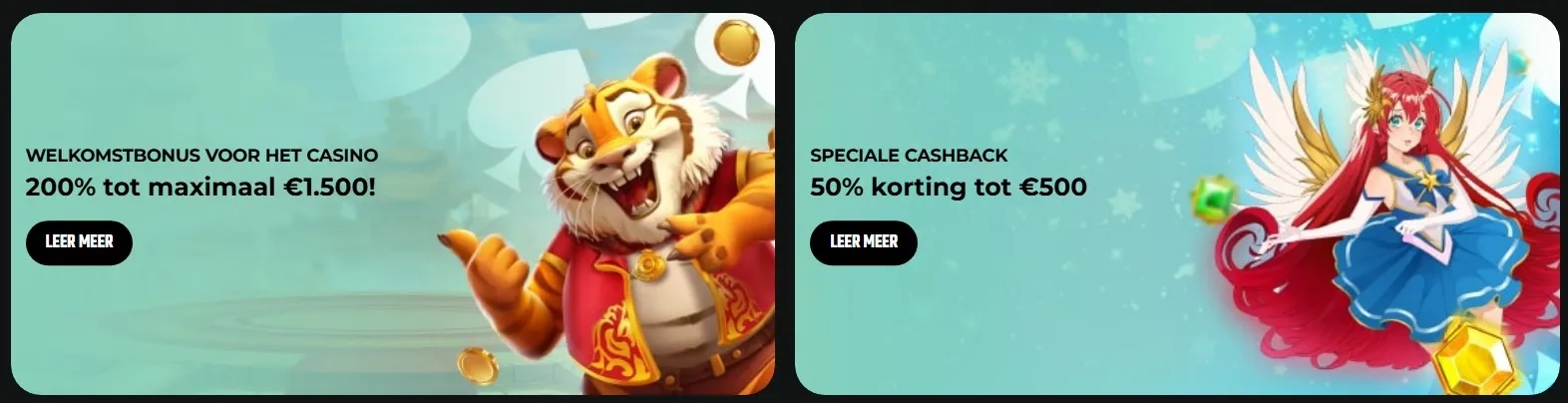 Bonussen en Promoties